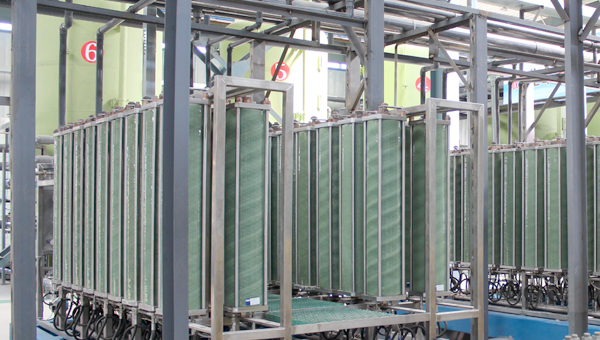 ����Ĥ�����Ľ������